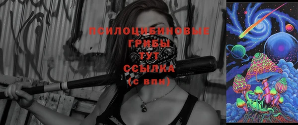 шишки Переславль-Залесский
