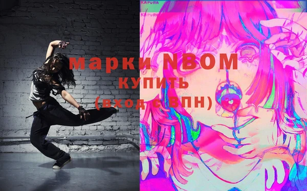 шишки Переславль-Залесский
