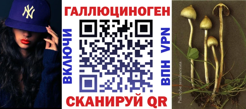 Галлюциногенные грибы ЛСД  kraken вход  Юрьев-Польский 